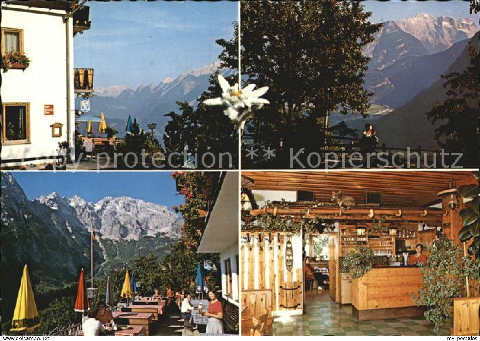 Kuchl Alpengasthof Pension Hochschaufler