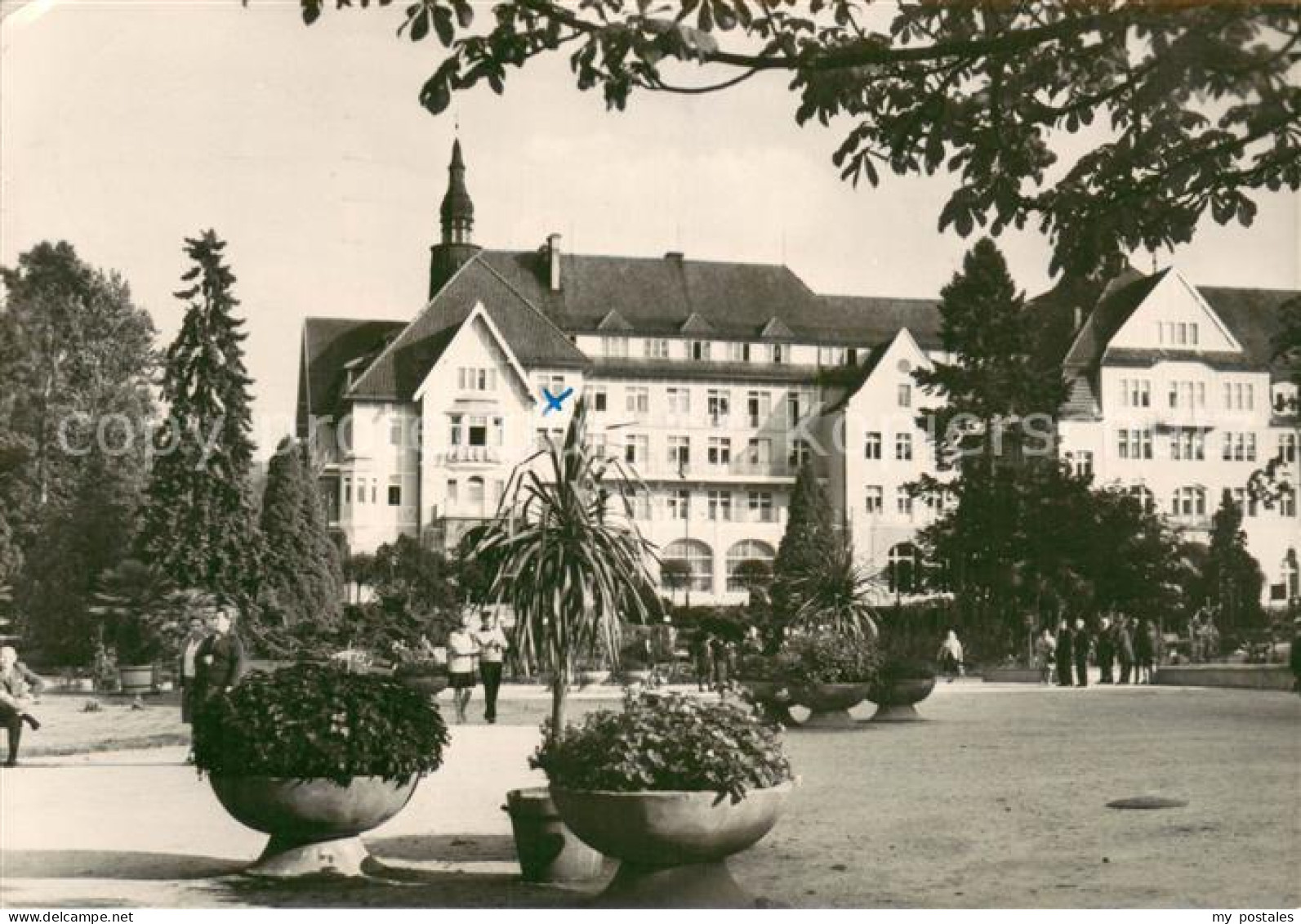 Kudowa-Zdroj Sanatorium Polonia