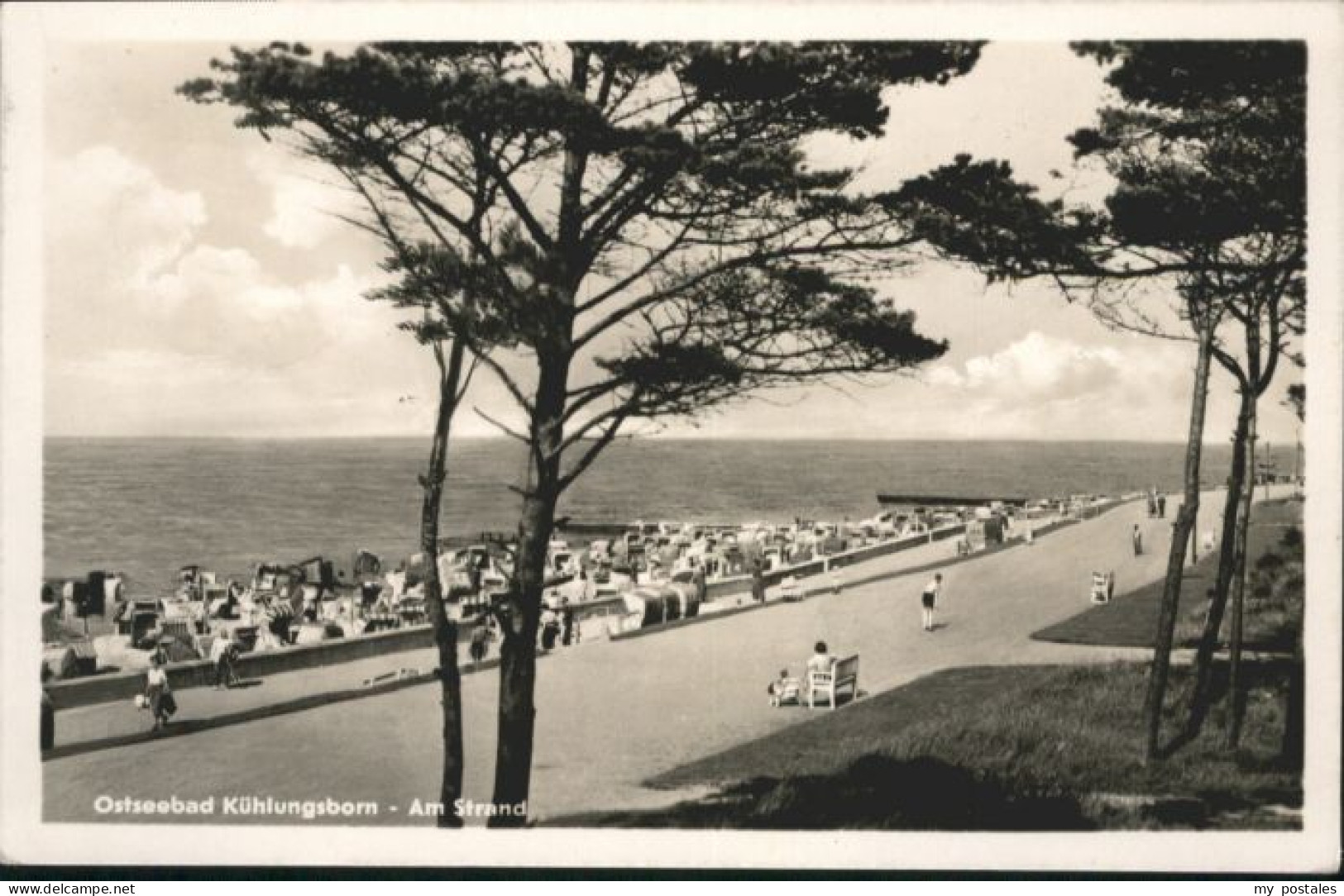 Kuehlungsborn Ostseebad Kuehlungsborn Strand