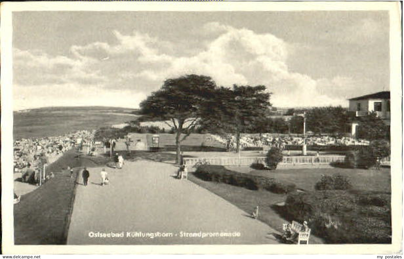 Kuehlungsborn Ostseebad Kuehlungsborn Strandpromenade