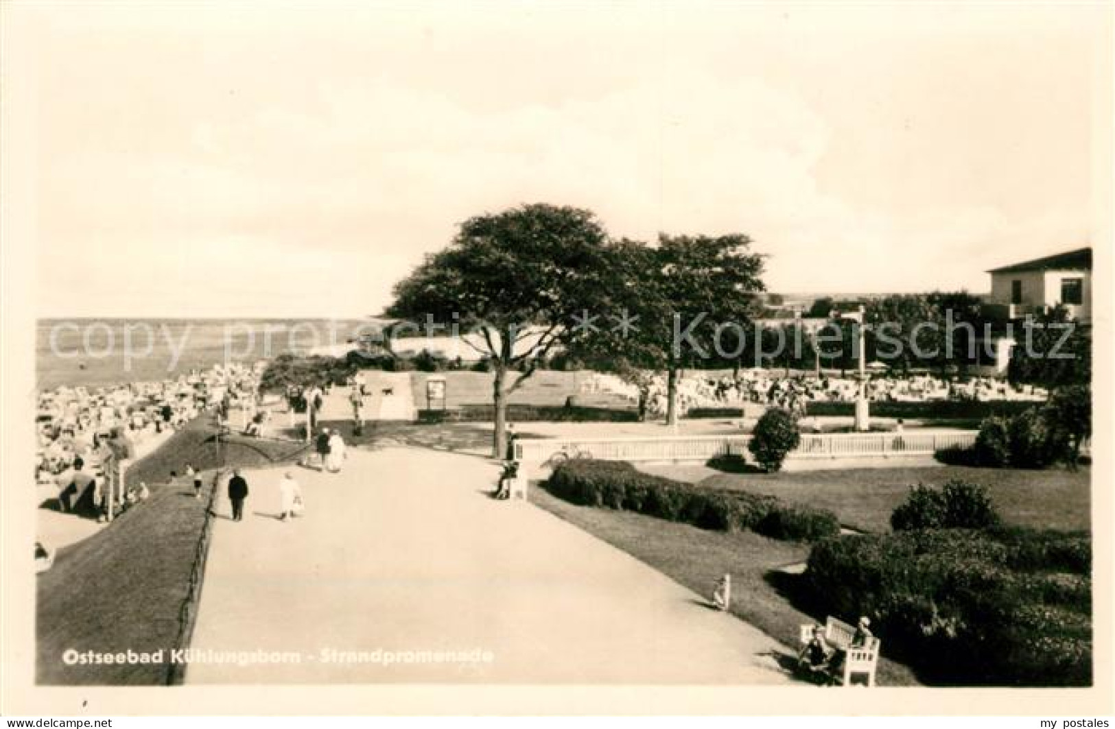 Kuehlungsborn Ostseebad Strandpromenade