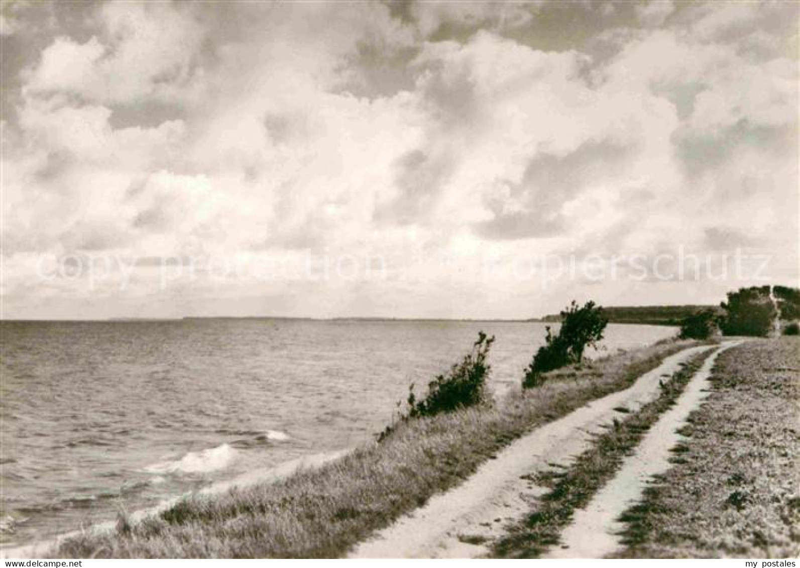Kuehlungsborn Ostseebad Weg nach Kuehlungsborn an der Kueste
