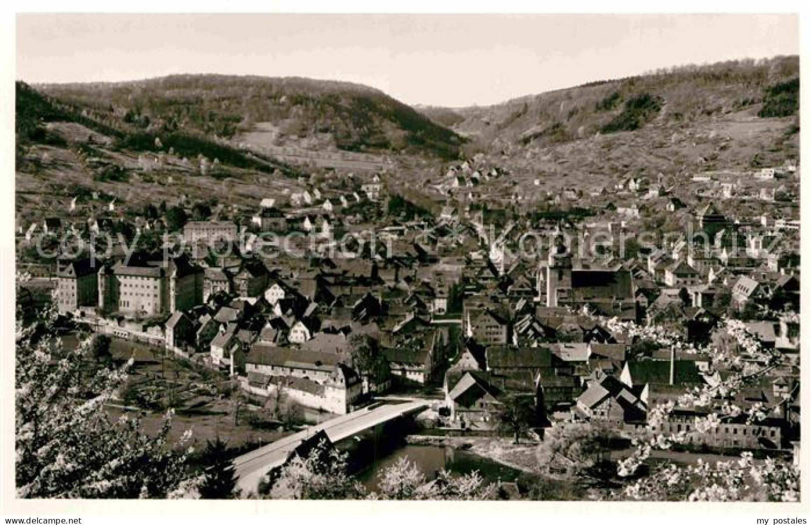 Kuenzelsau Panorama