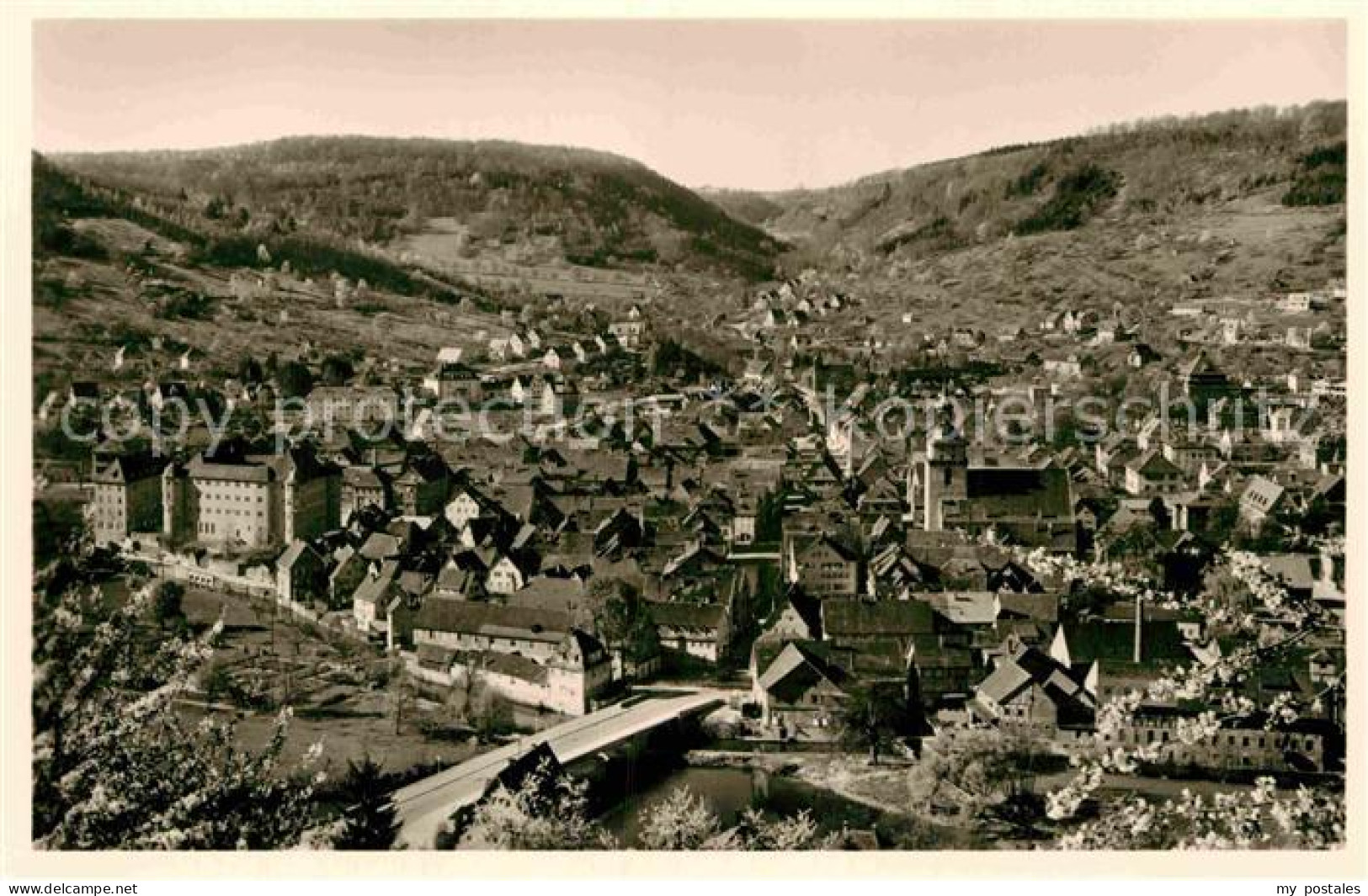 Kuenzelsau Panorama