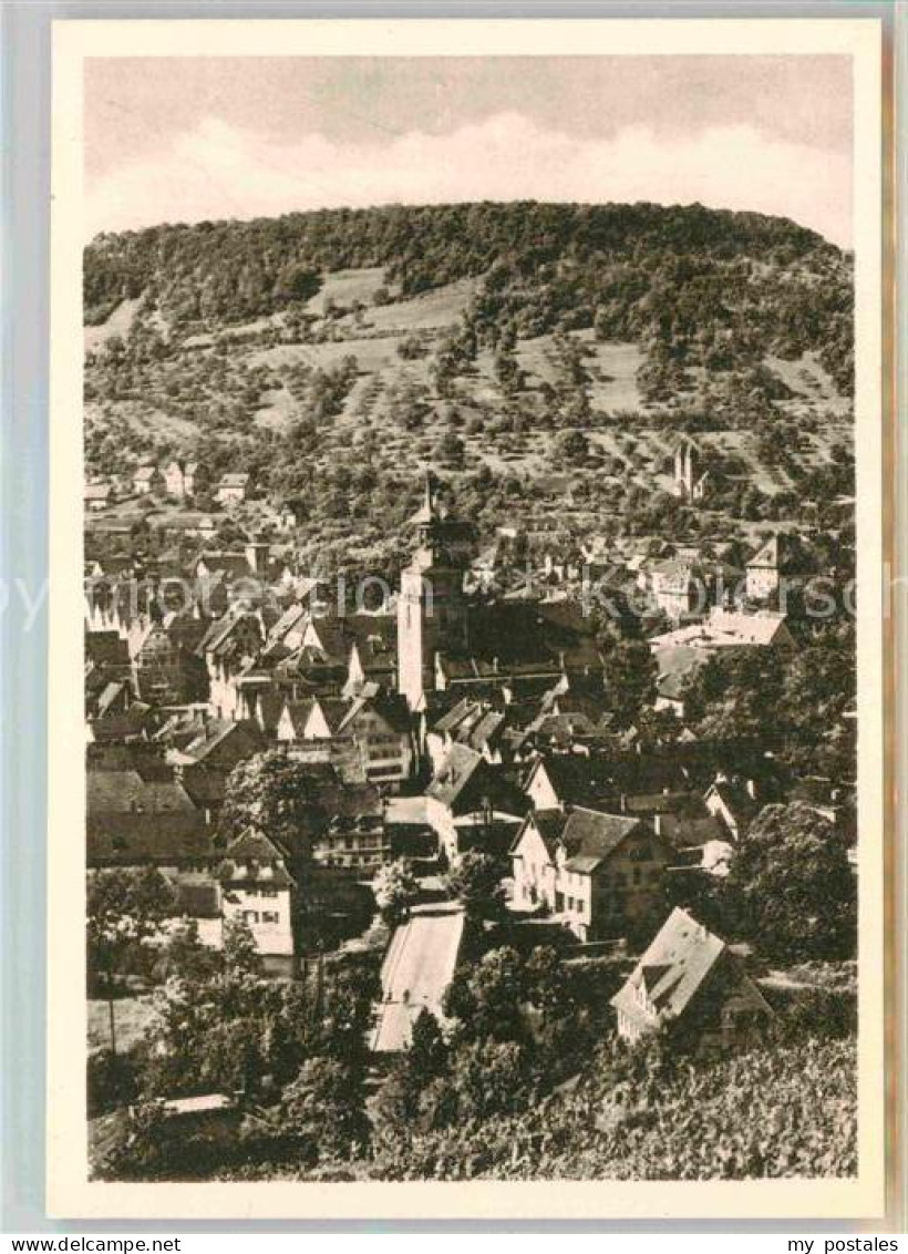 Kuenzelsau Panorama