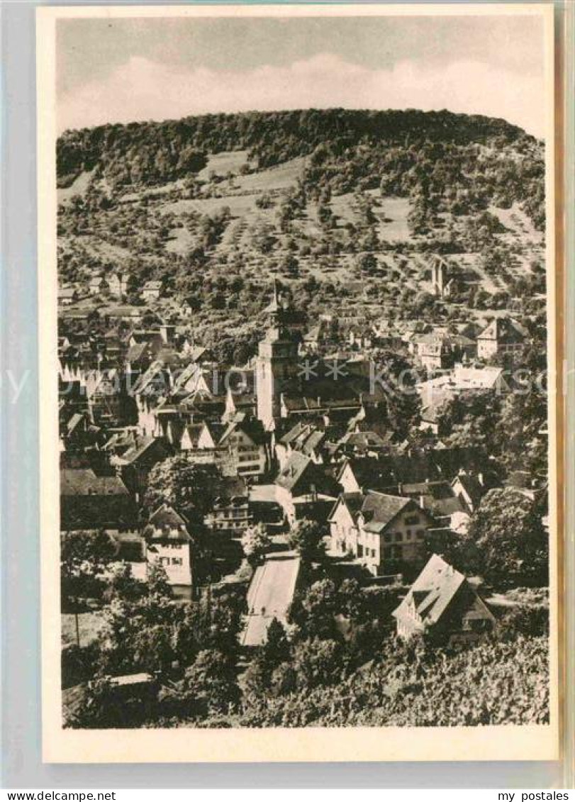 Kuenzelsau Panorama