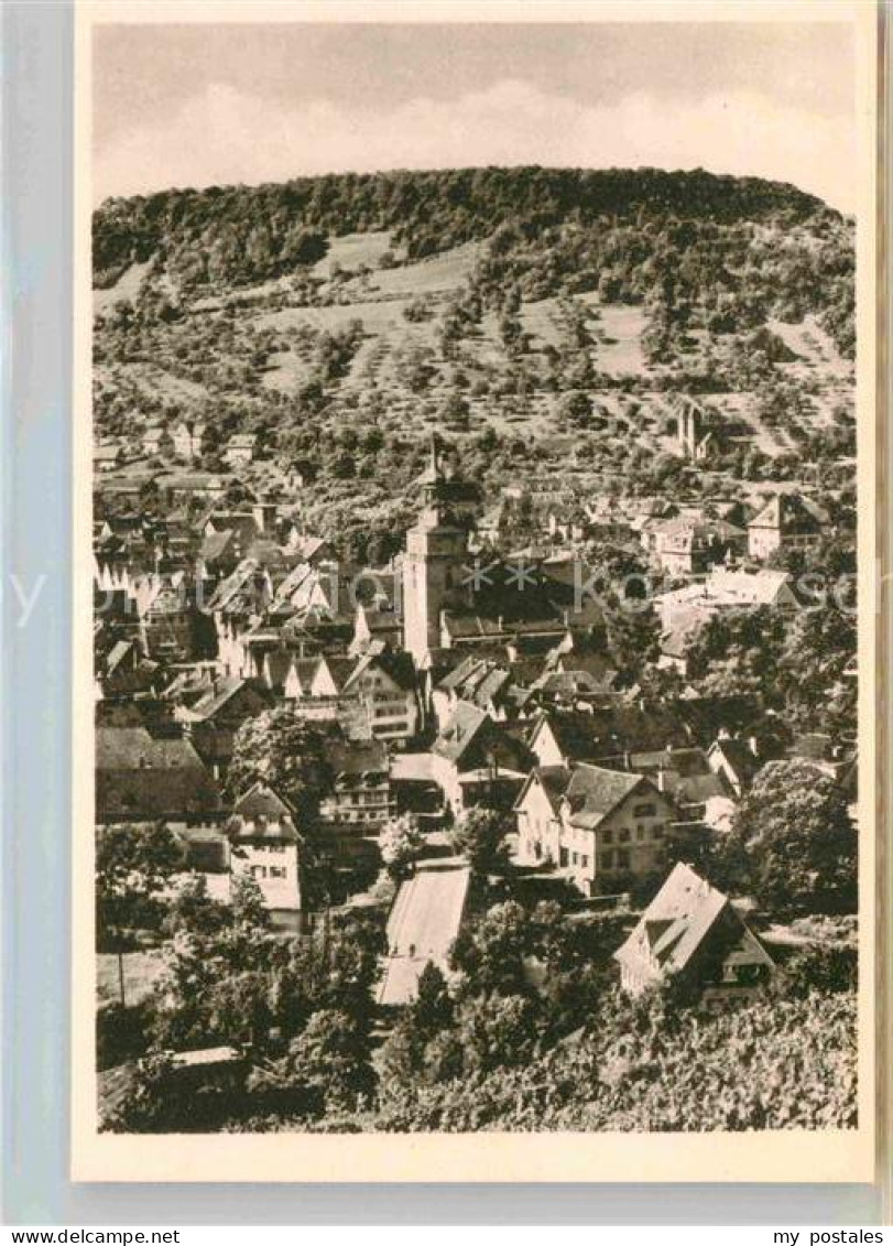 Kuenzelsau Panorama