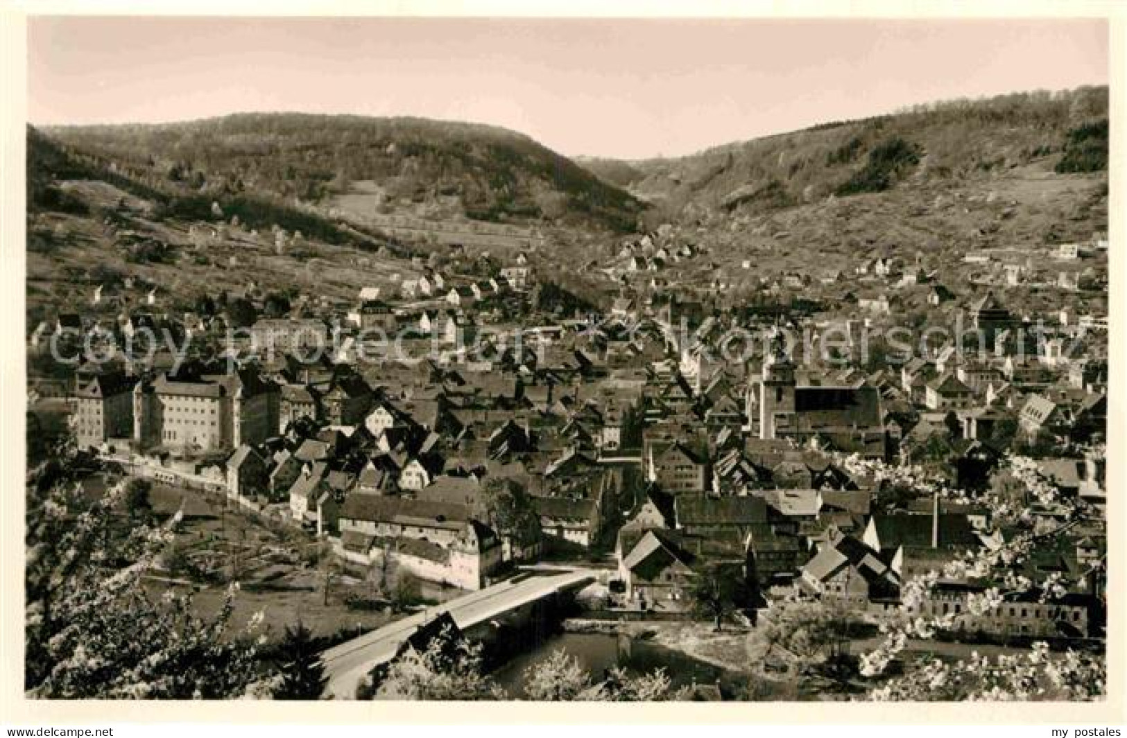 Kuenzelsau Panorama