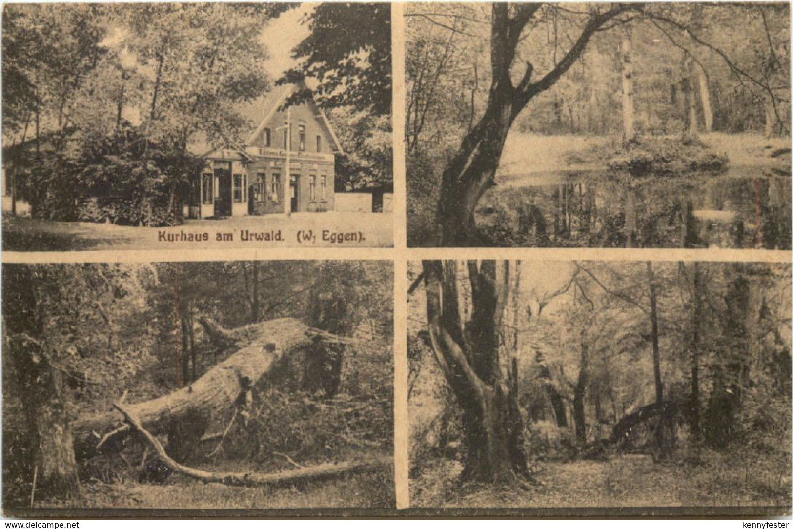 Kurhaus am Urwald - Zetel