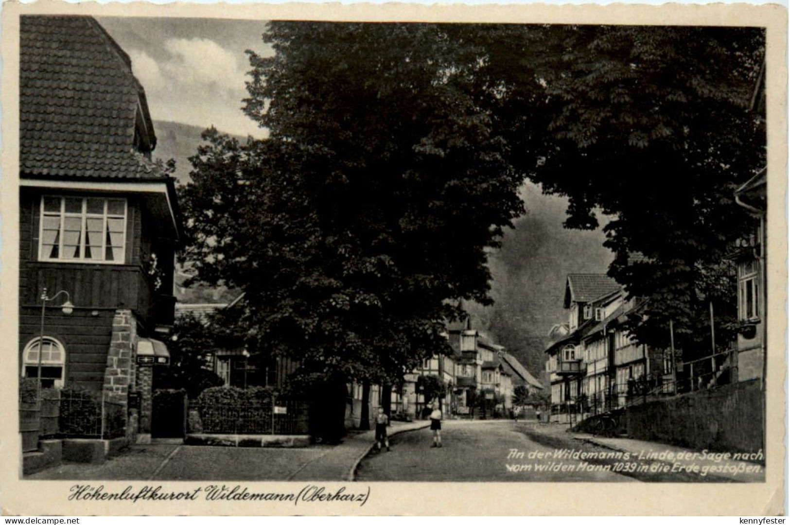 Kurort Wildemann Oberharz,