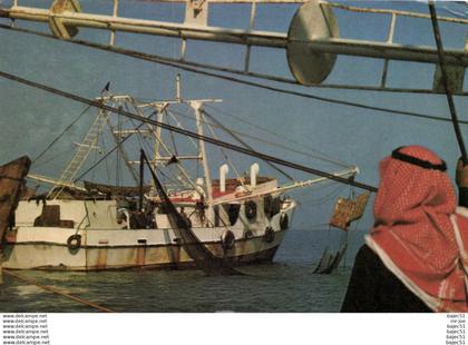 Koweït - Trawler of Arabian gulf fish