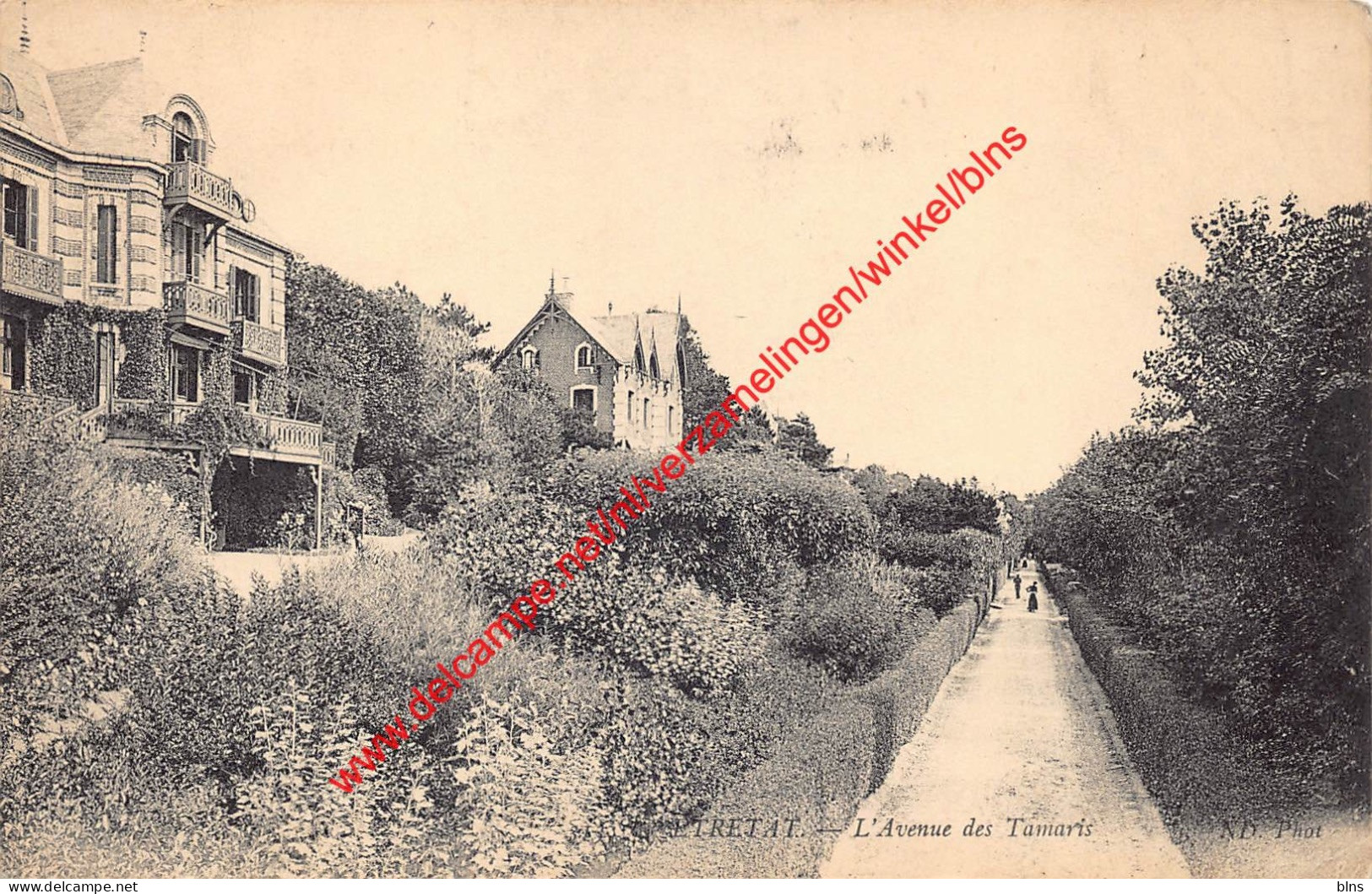 L'Avenue des Tamaris - Etretat - (76) Seine Maritime