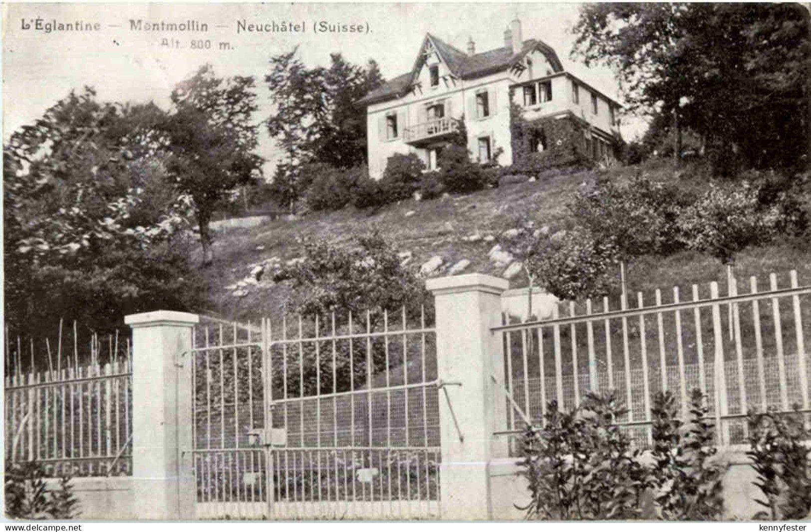 L Eglantine - Montmollin