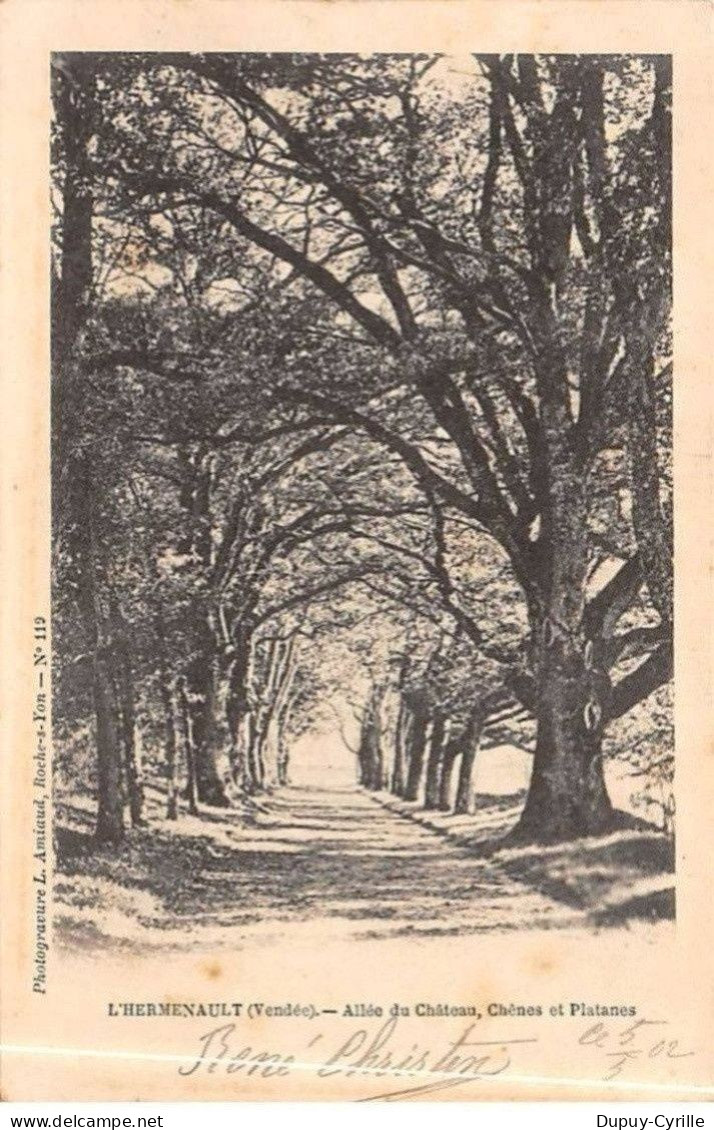 L'HERMENAULT - Allée du Château - très bon état