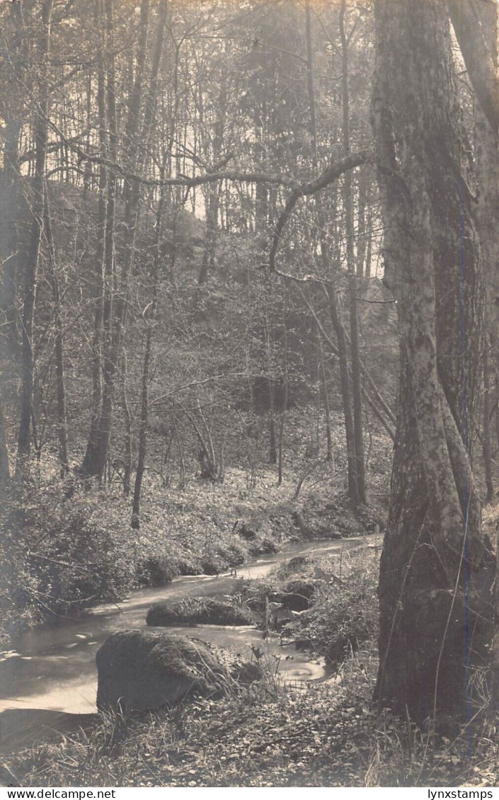 L217 Germany 1901 Dahmsdorf Muencheberg River Forest vintage postcard