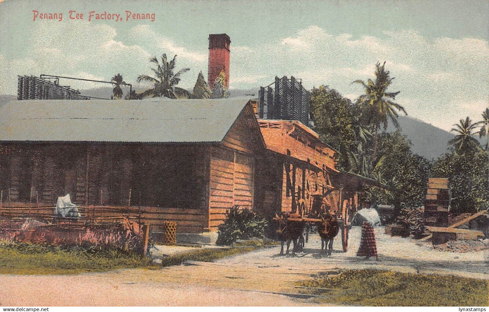 L227 Malaysia Penang Tee Factory vintage postcard
