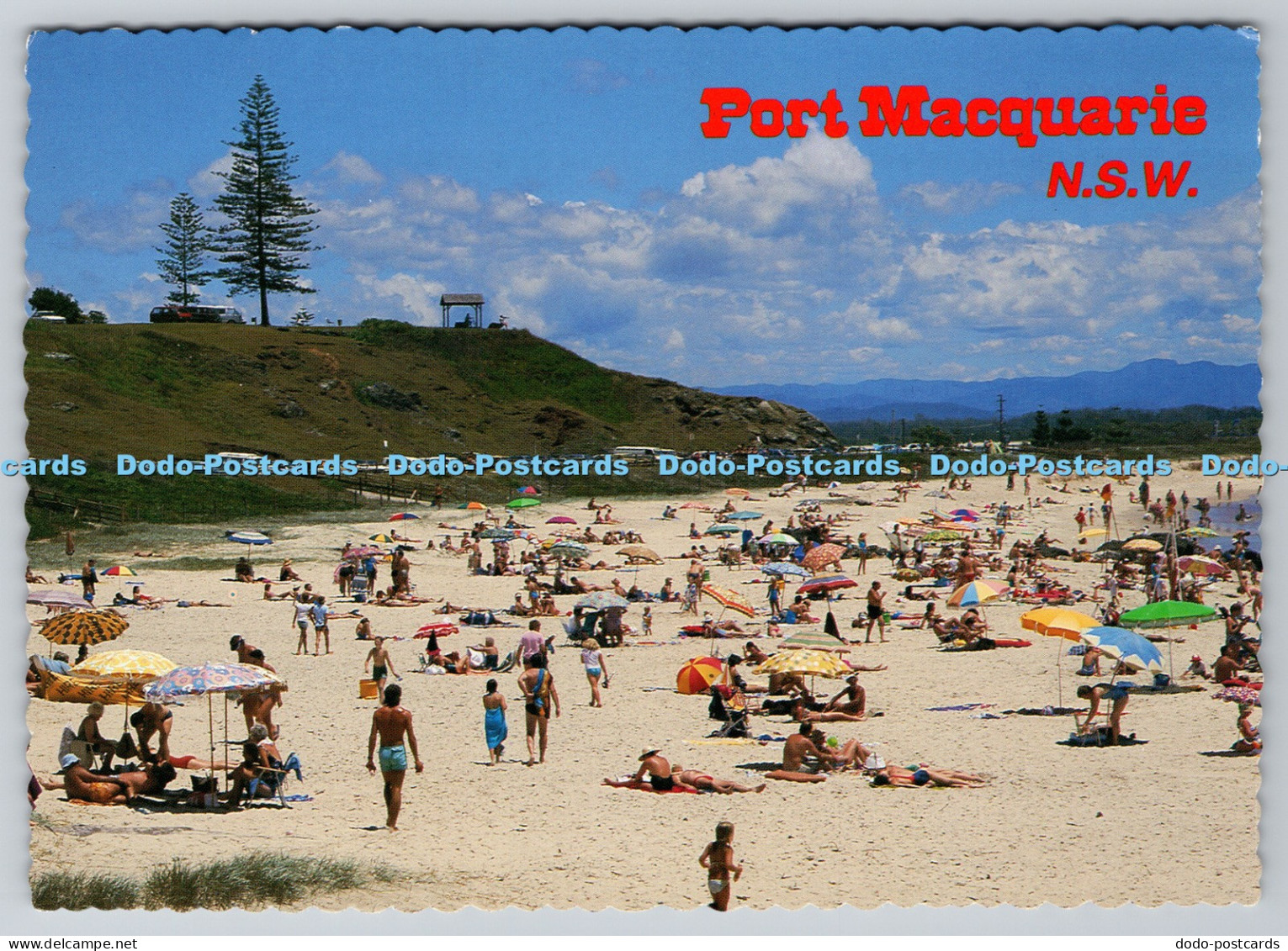 L342435 N S W Port Macquarie Town Beach With Goal Point in Background Bellevue