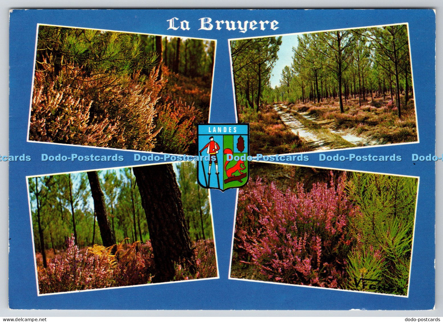 L343750 Landes La Bruyere Vignes Multi View
