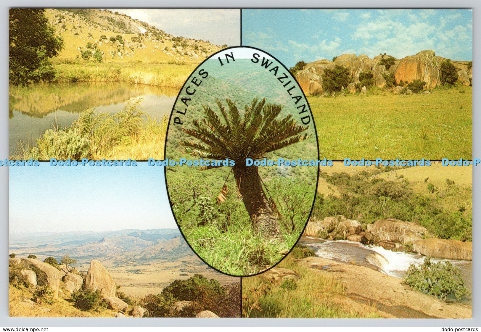 L344200 Places in Swaziland Honey Hill Multi View