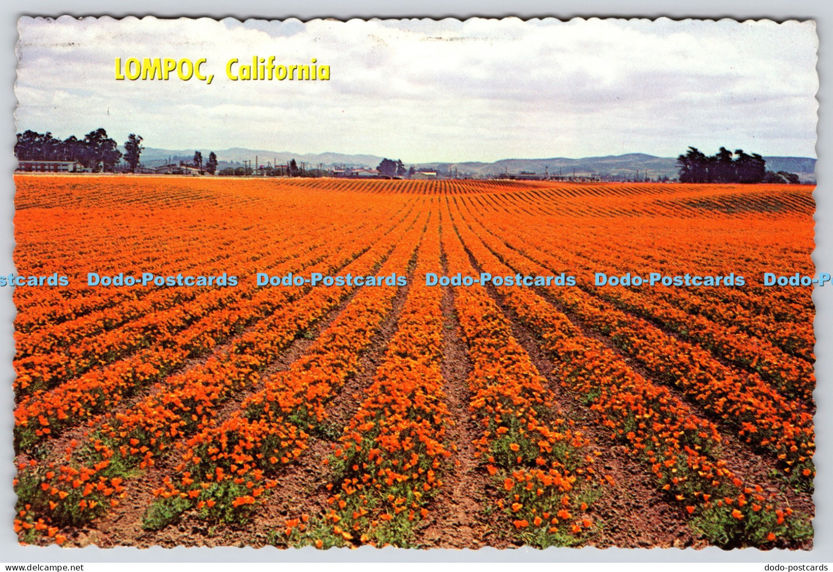 L344334 Lompoc California Woody Gillette Plastichrome by Colourpicture