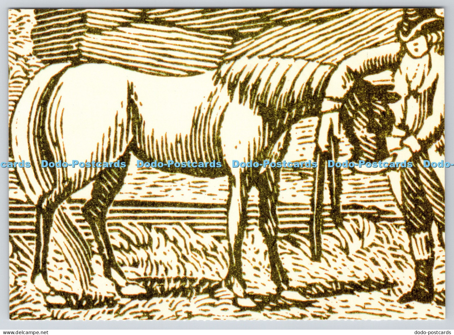 L344913 19th Century A London Vicar Rev Arthur Broome RSPCA