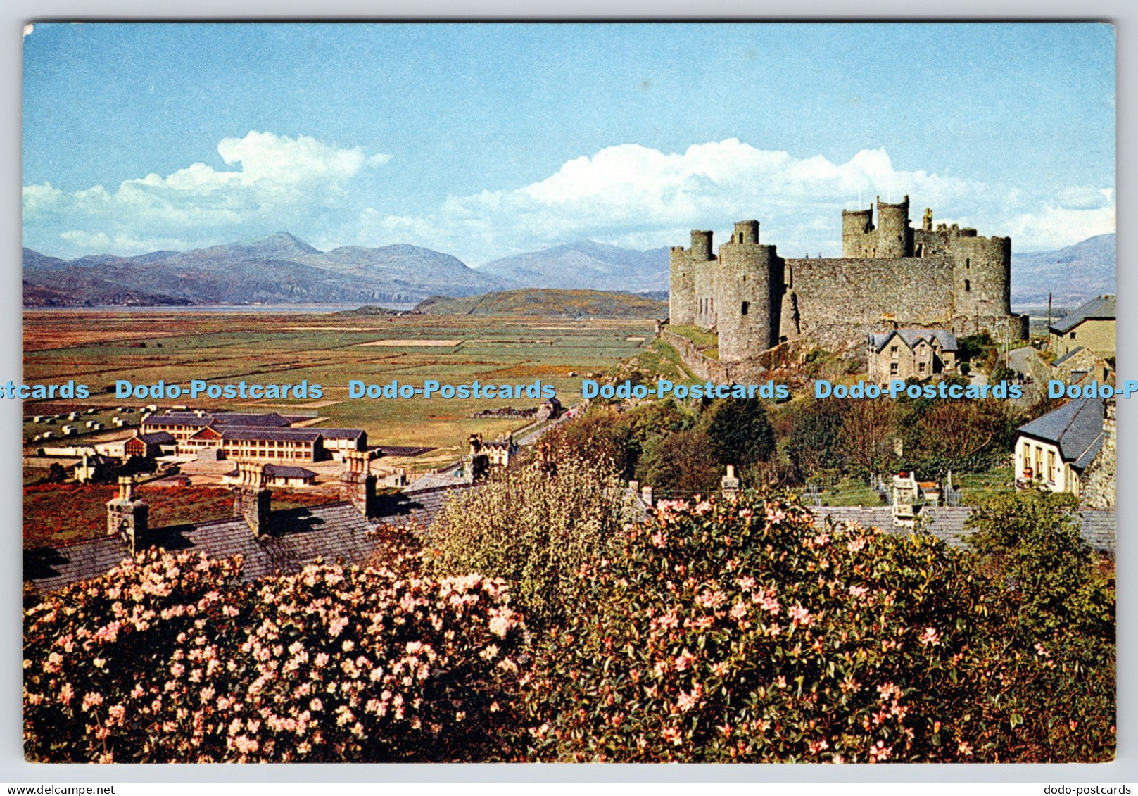 L348713 Merionethshire Harlech Castle J Arthur Dixon Newport I W England