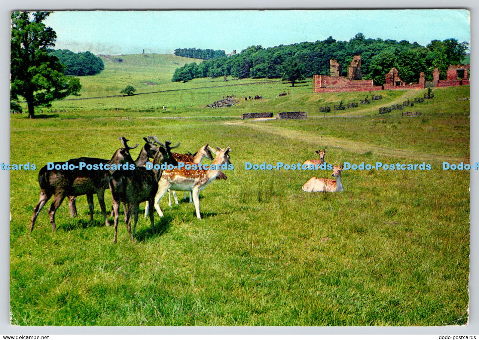 L349274 Leicestershire Bradgate Park A W Bourne 1971