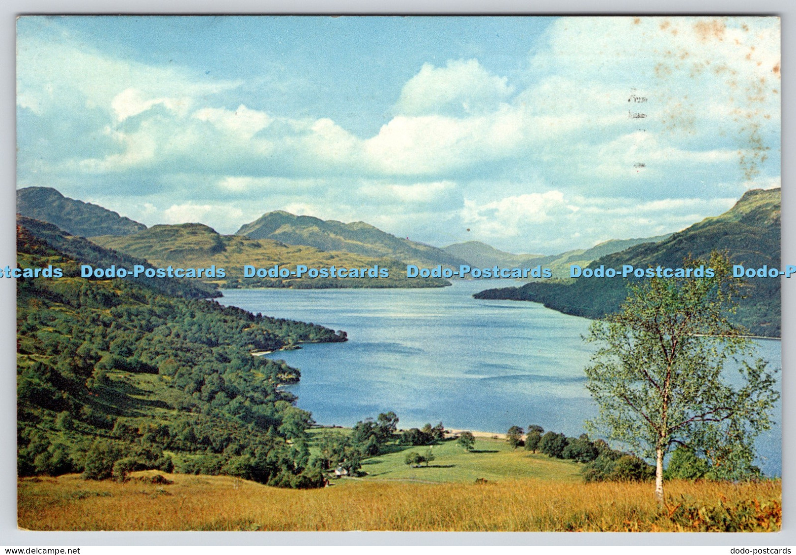 L351190 Loch Lomond. Dunbartonshire. J. Arthur Dixon. 1964