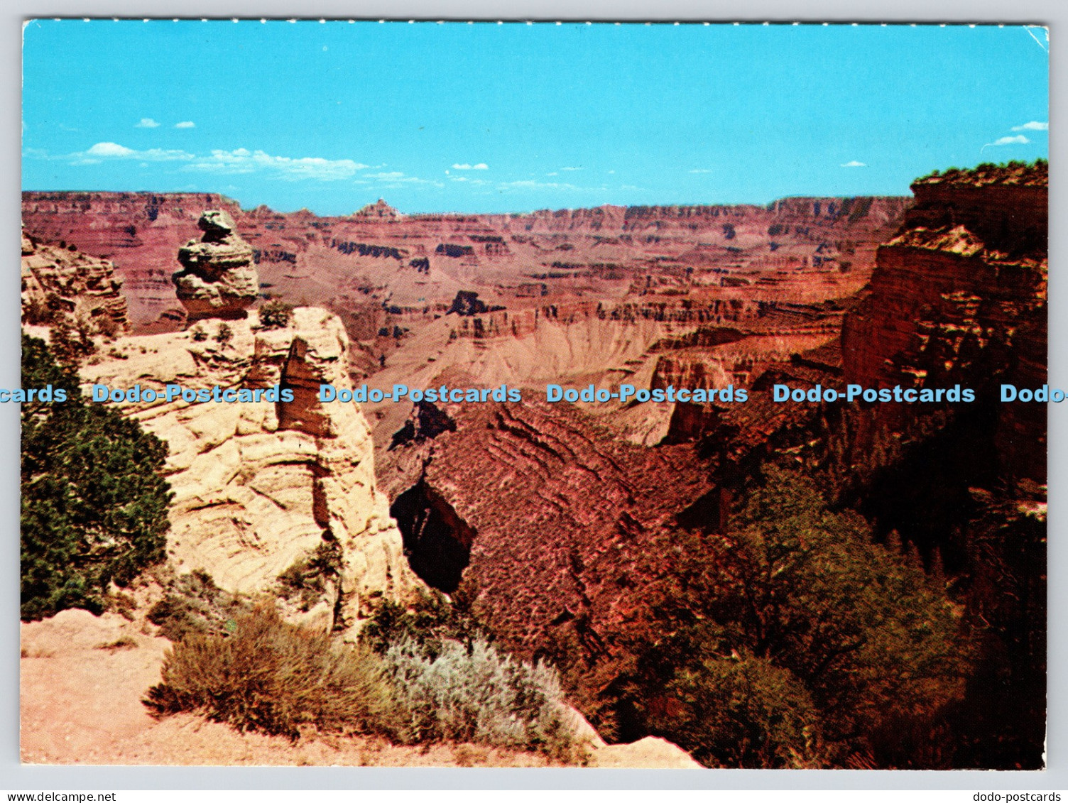 L351626 Arizona. Grand Canyon National Park. Duck on the Rock. Grand Canyon Nati