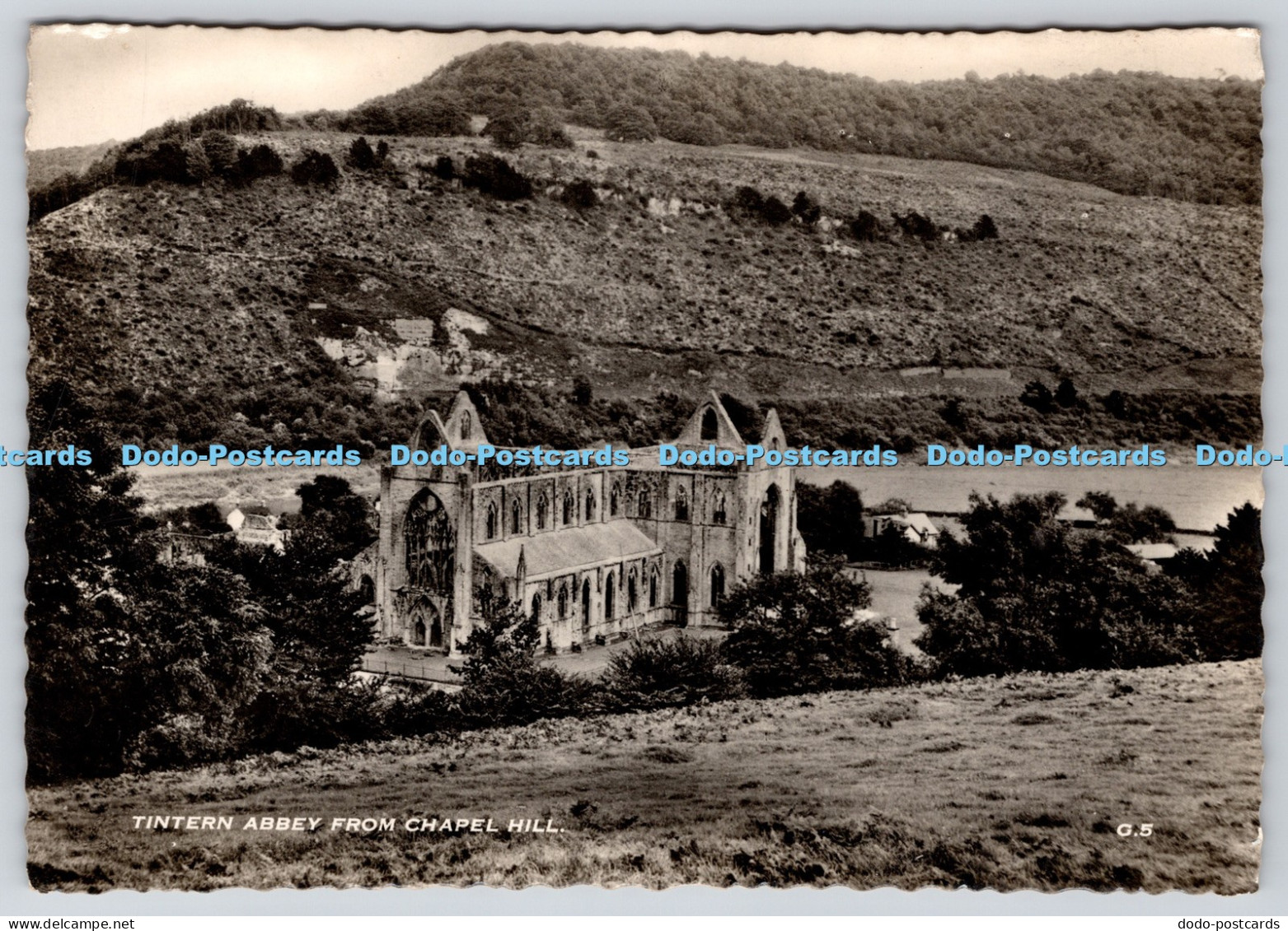 L352768 Tintern Abbey From Chapel Hill RP