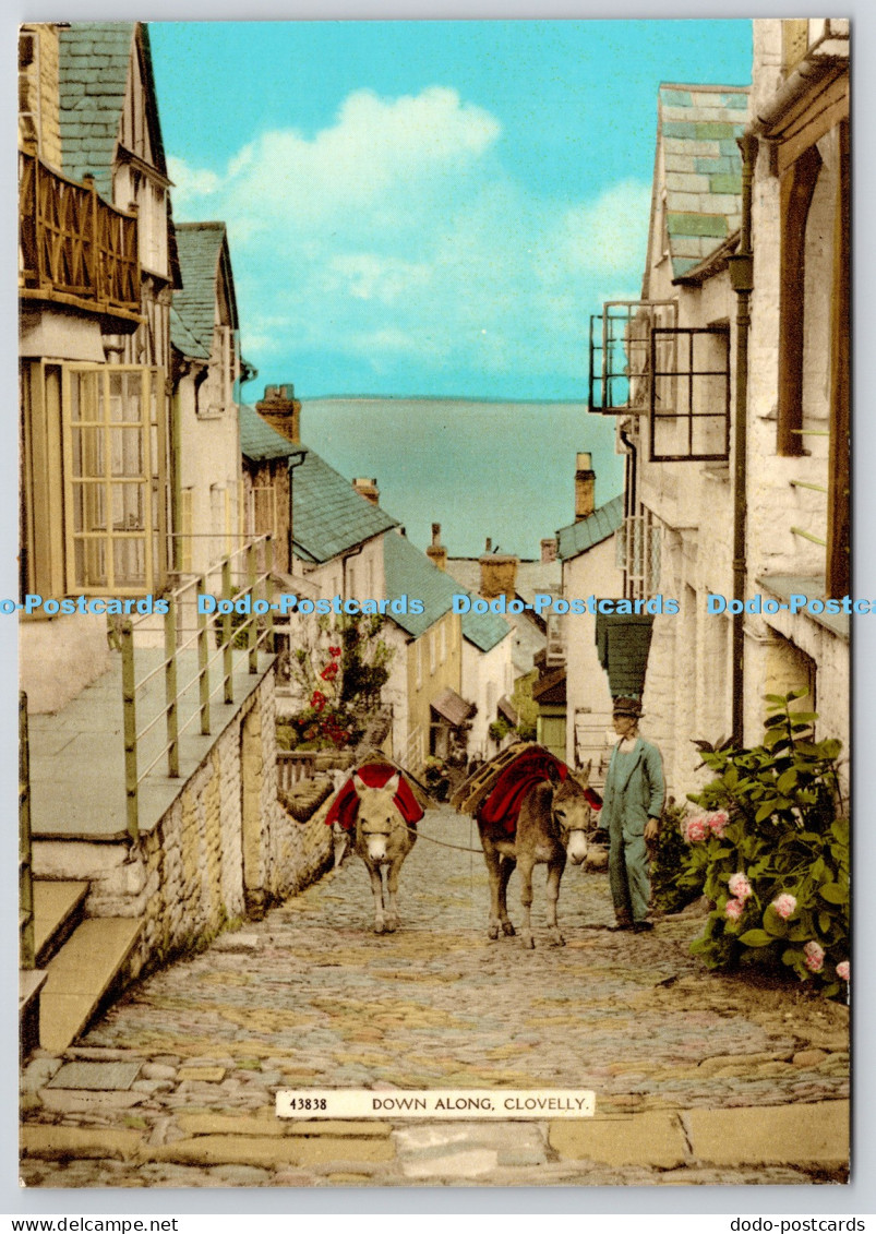 L353876 Clovelly. Down Along. 1970