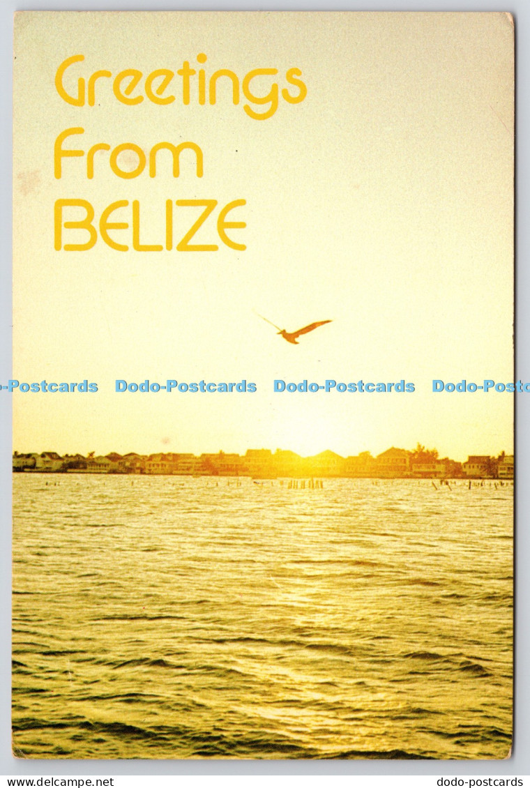 L354872 Greetings from Belize Golden Sunset at the Mouth of the Haulover Creek C