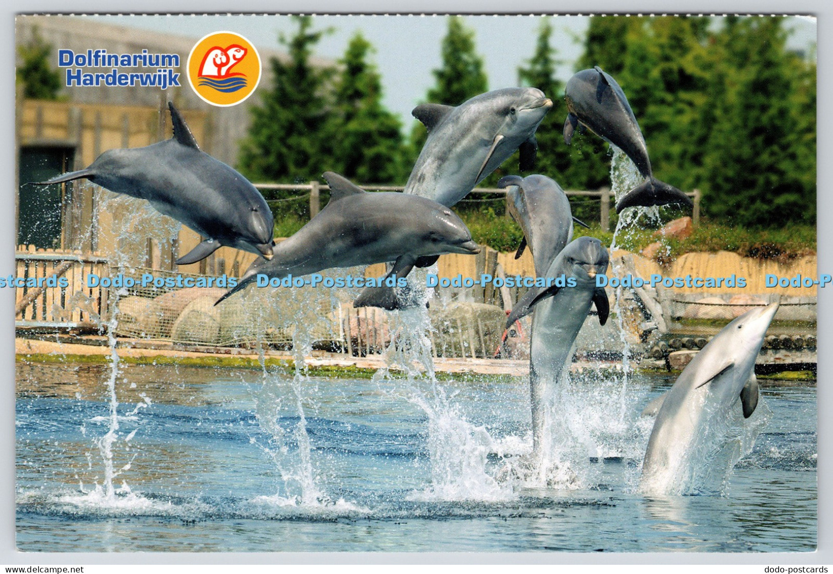 L355805 Dolfinarium Harderwijk