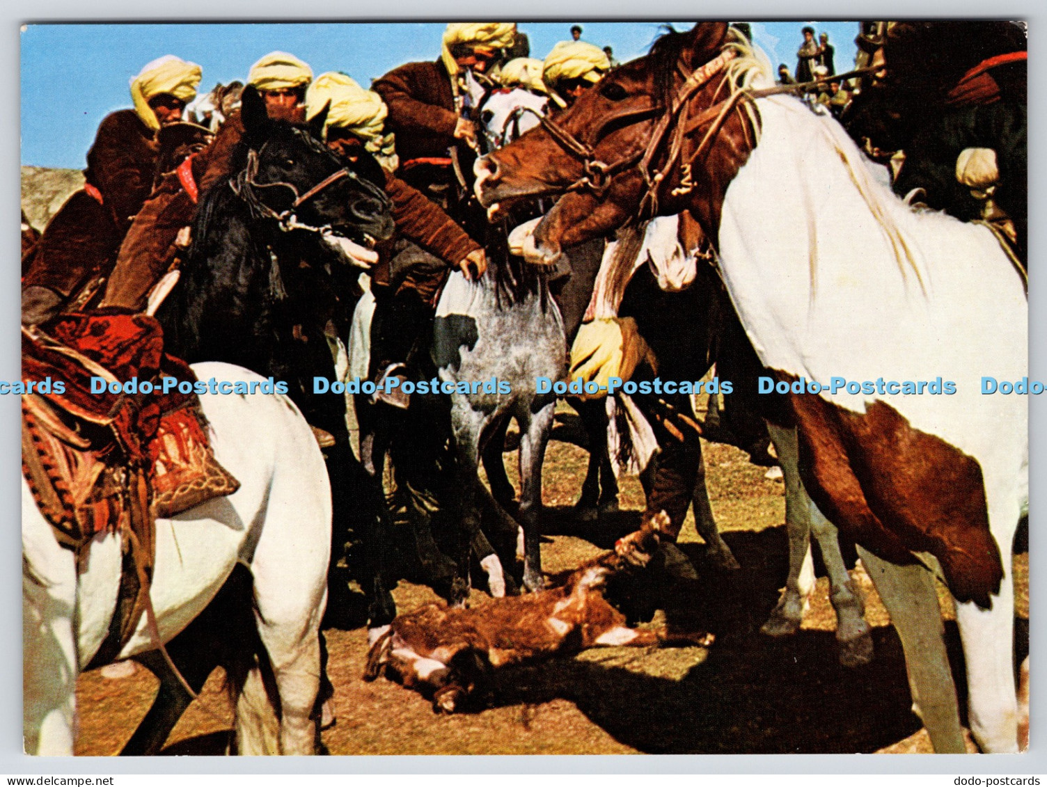 L355913 Afghanistan Buzkashi Afghan Tourist Organization Asefi