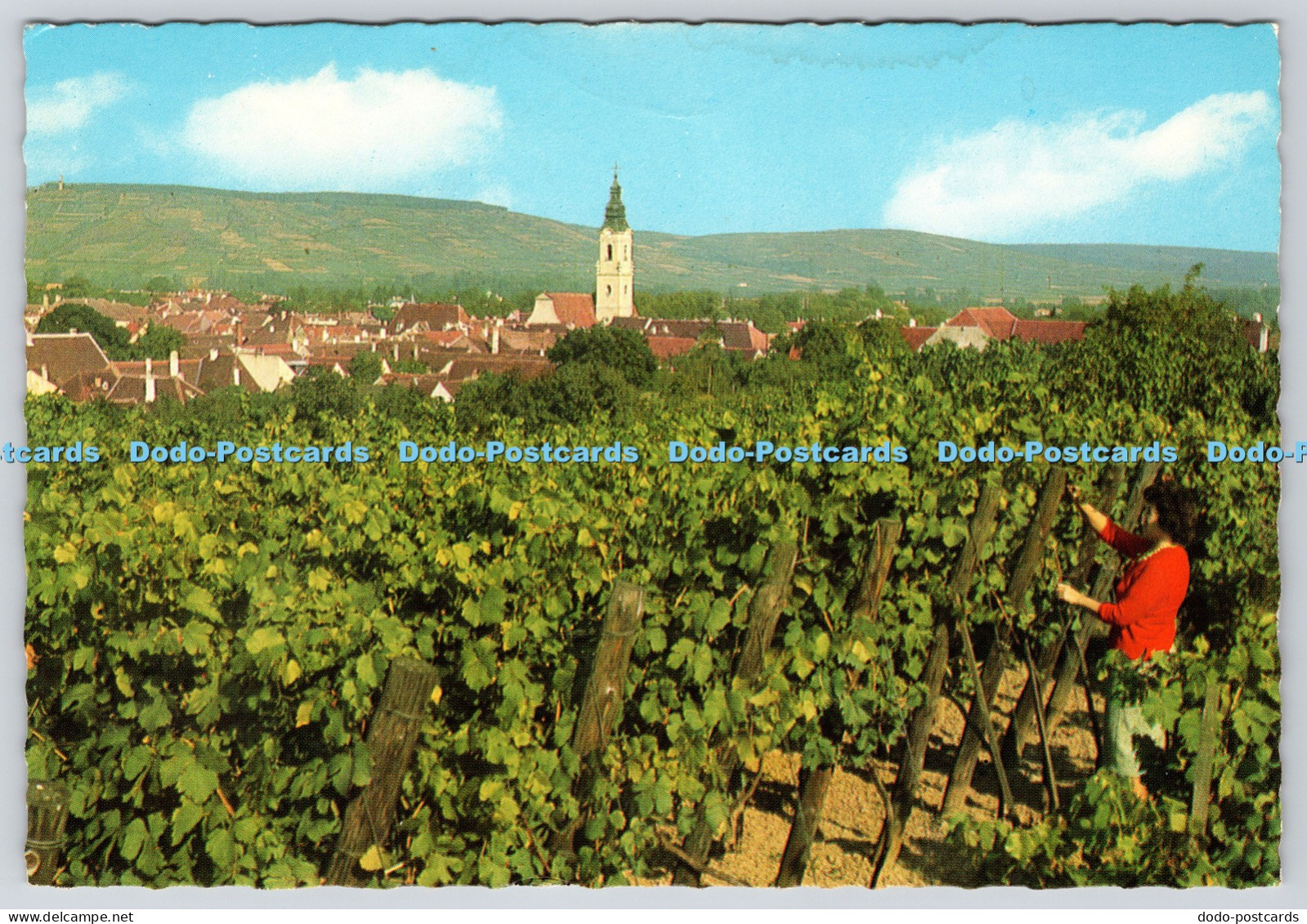 L357876 Langenlois N Q die Weinstadt KWM Helmut Partaj