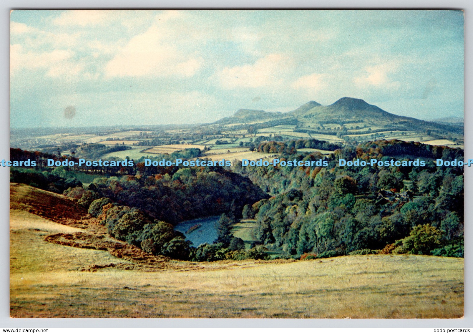 L358313 Roxburghshire The Tweed at Bemersyde J Arthur Dixon