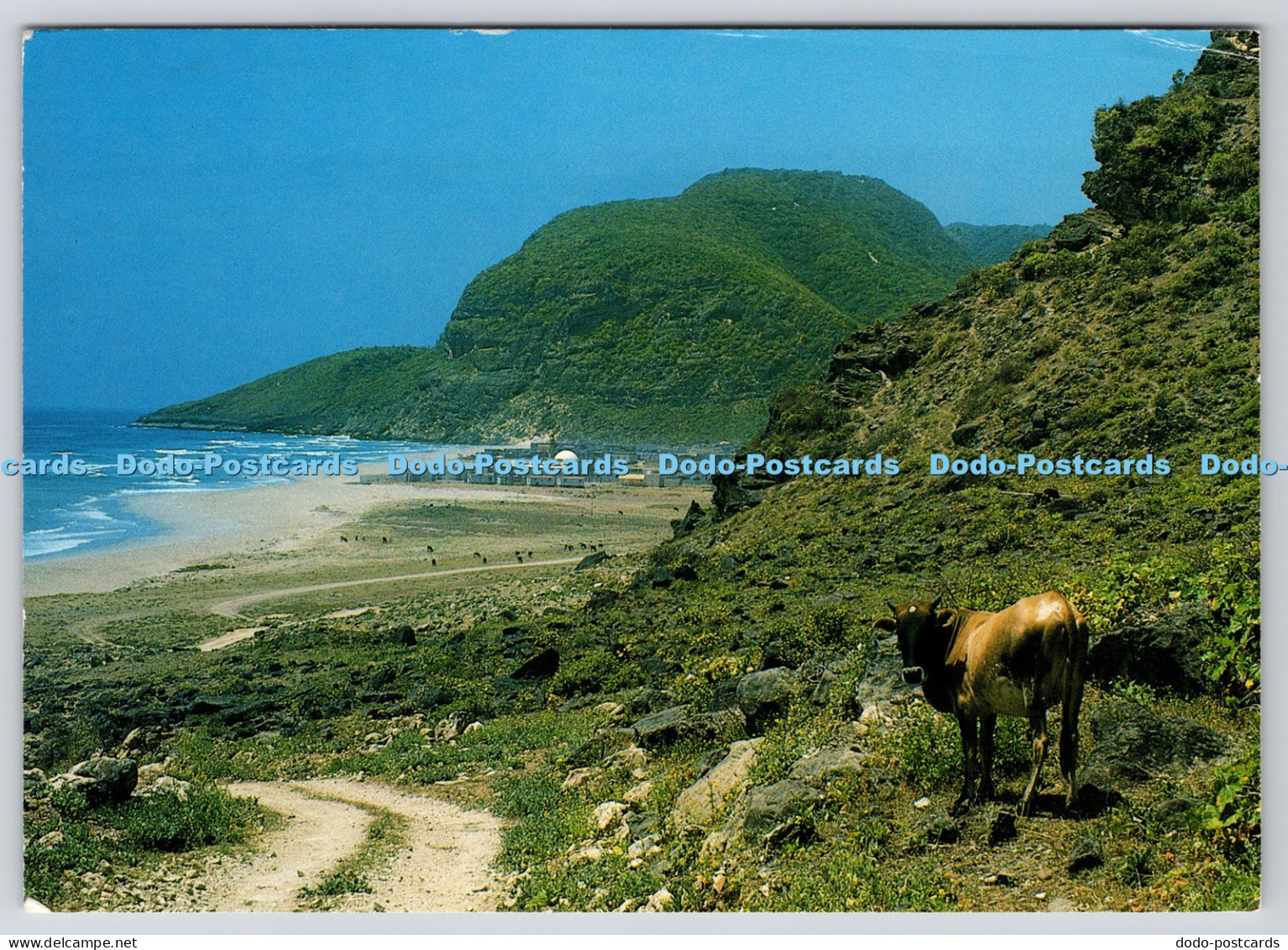 L358431 Dhofar Sultanate of Oman Family Bookshop