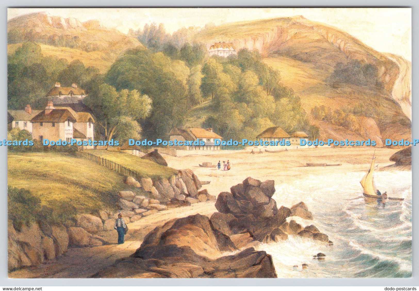 L358999 Babbacombe Cove Torquay Museum Torquay Natural History Society