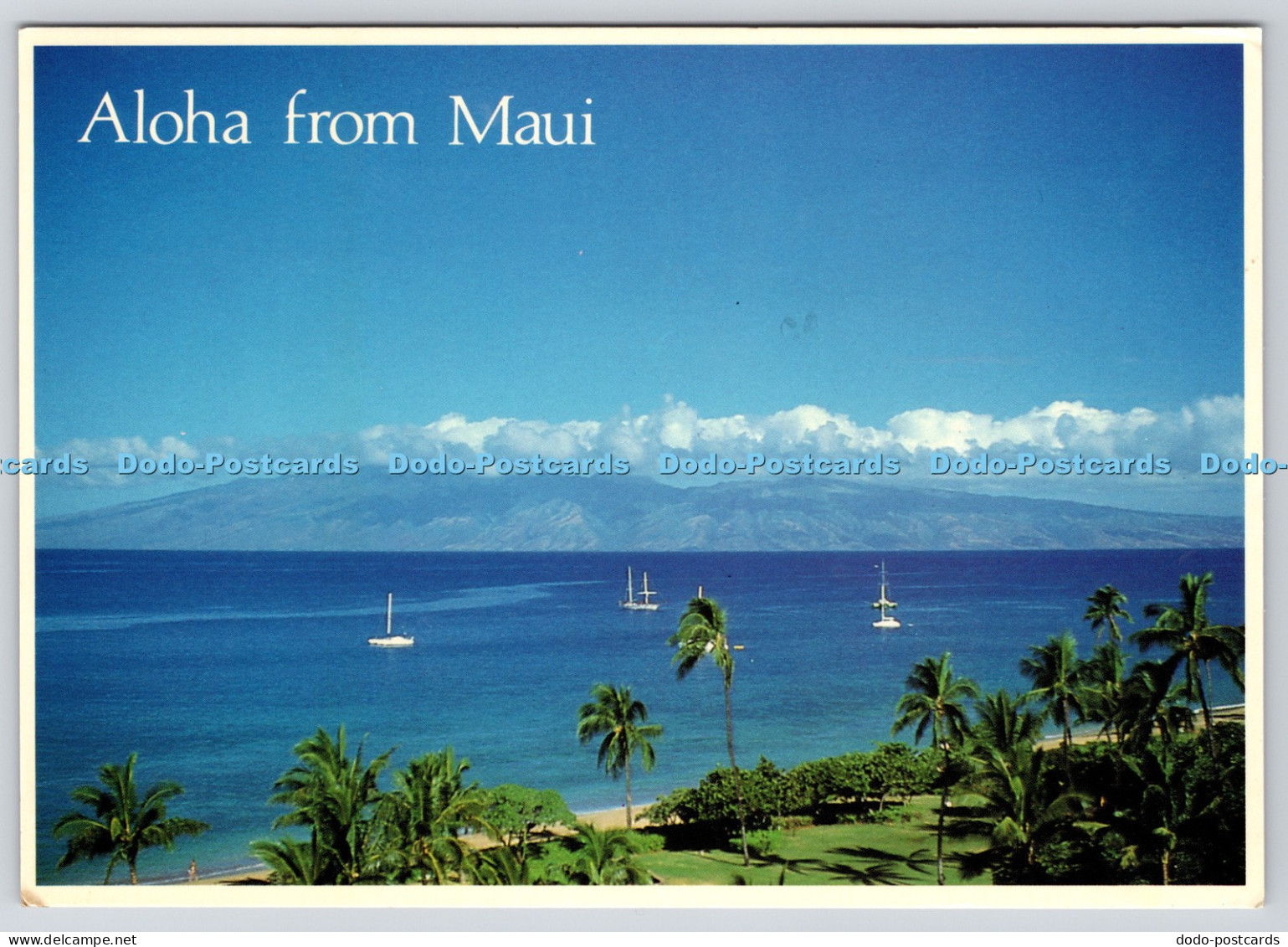 L359832 Aloha From Maui Island of Maui Hawaii Island Heritage B Abraham PM Honol
