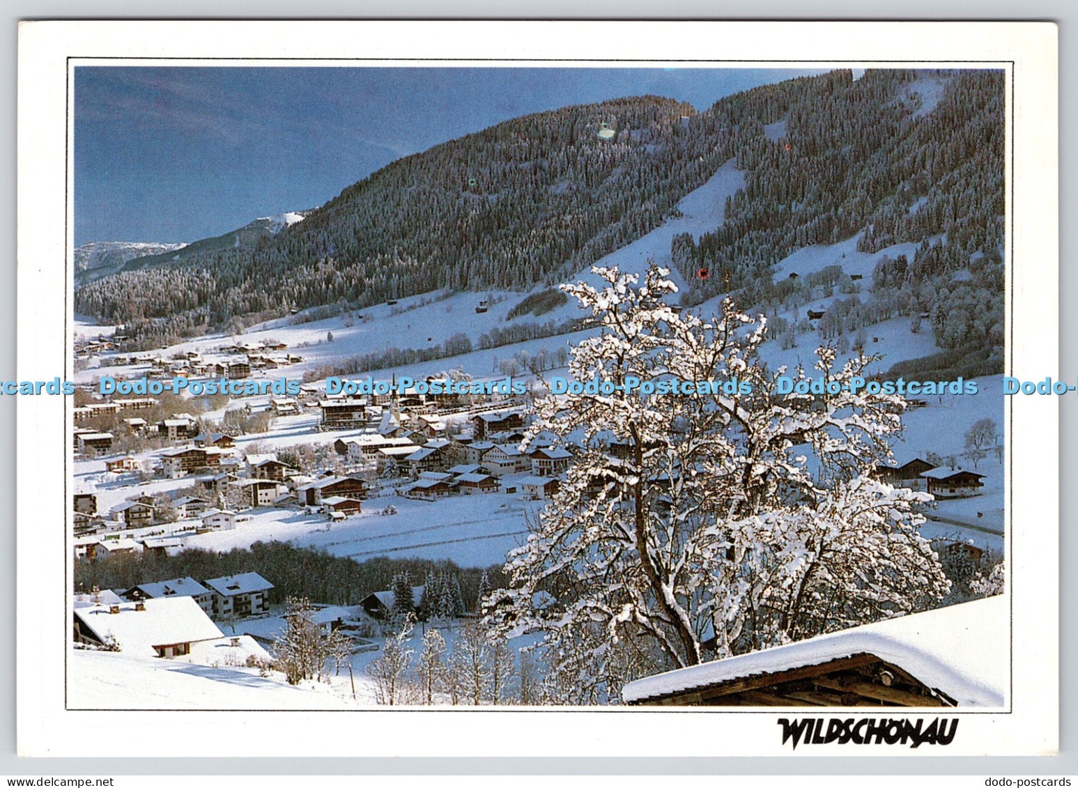 L359853 Wildschonau Hochtal Wildschonau Tirol Sandbichler 1994