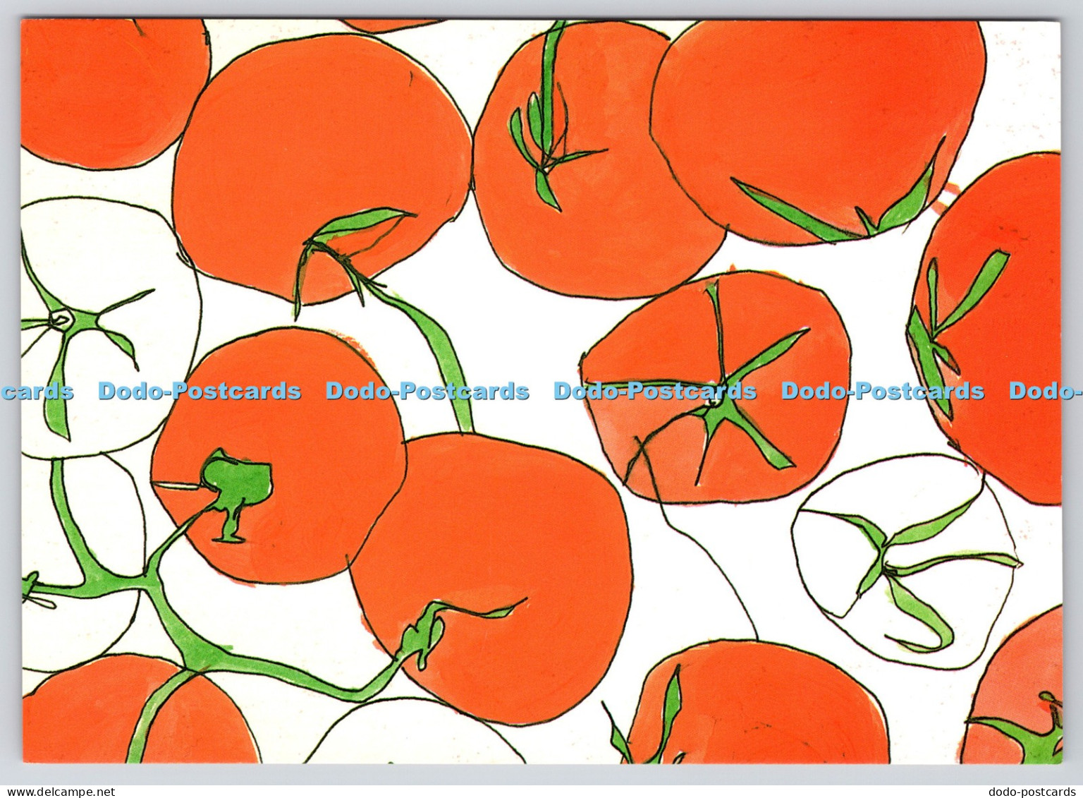 L360249 Tomato Lucie Sheridan Bristol