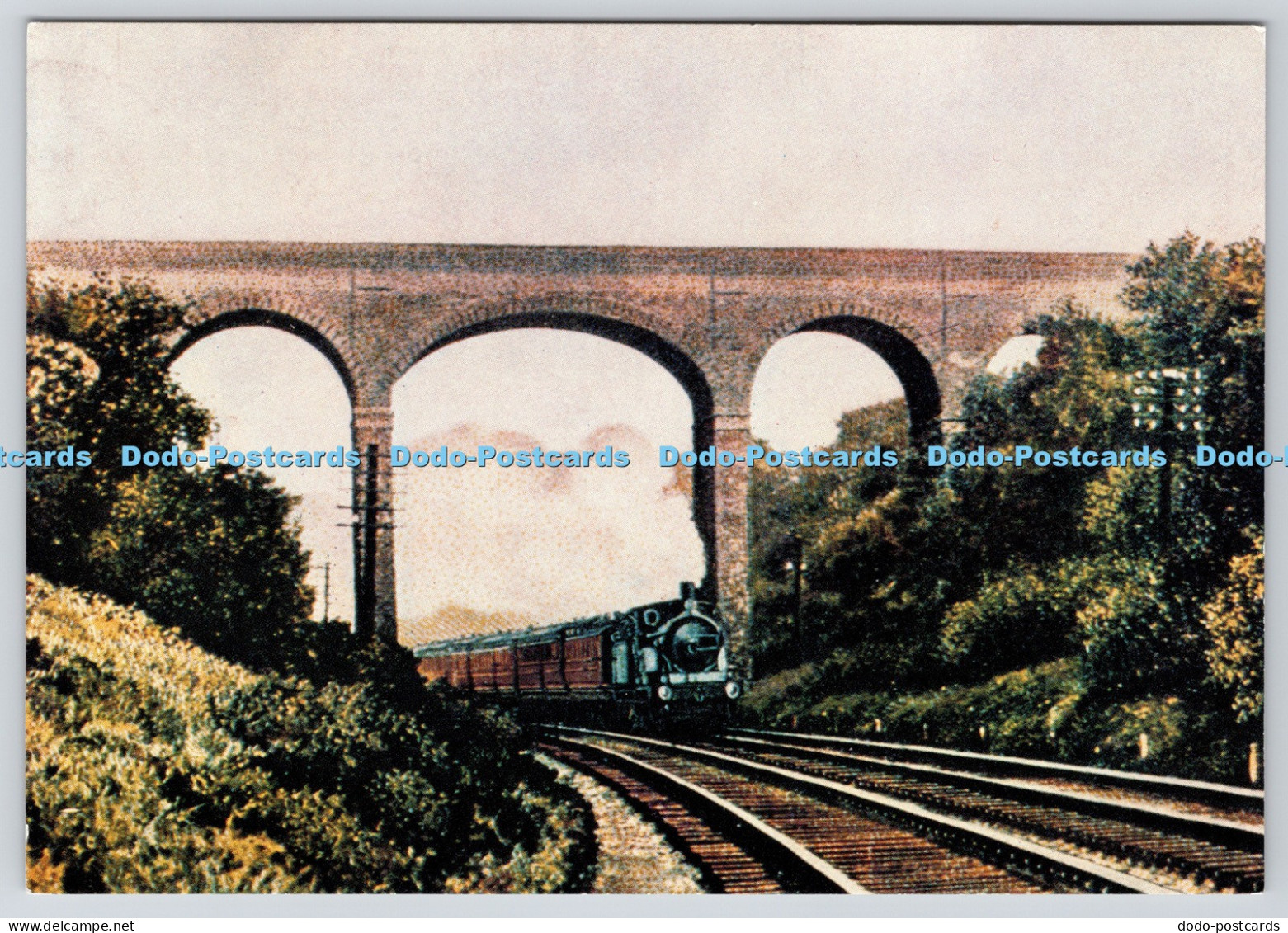 L360407 Brentwood Seven Arch Bridge Essex Record Office Essex Libraries English