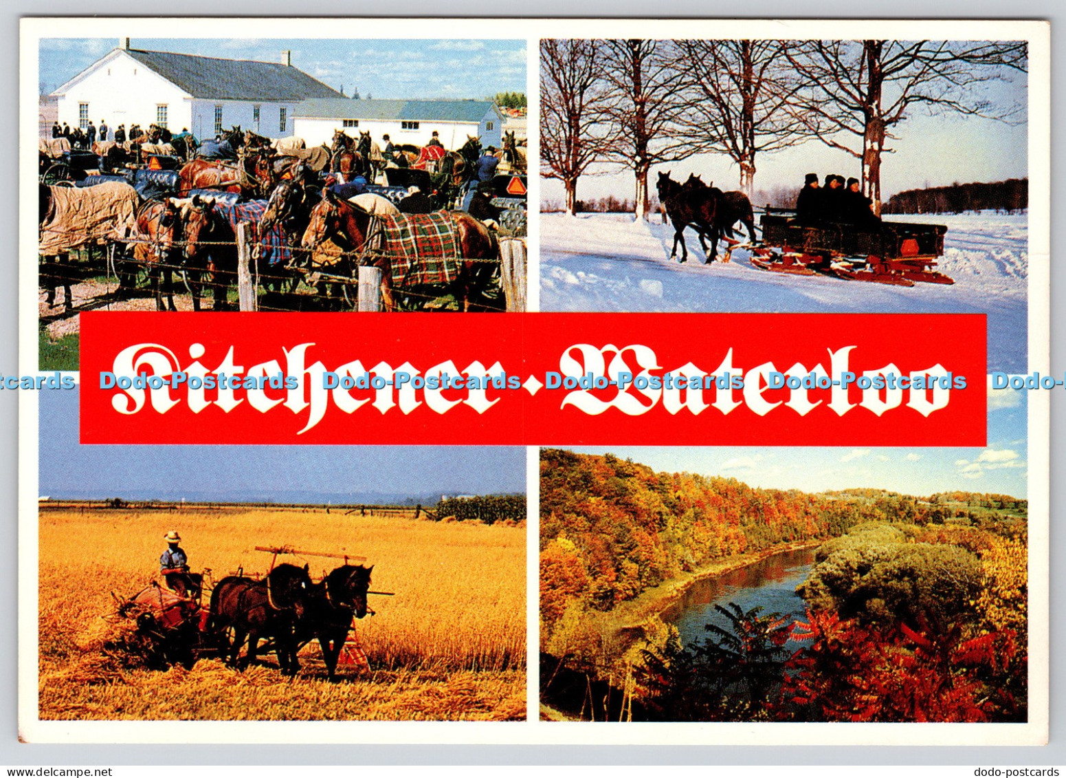 L360671 Kitchener Waterloo Mennonite Lifestyle Kitchener News Fred A Curylo Mult