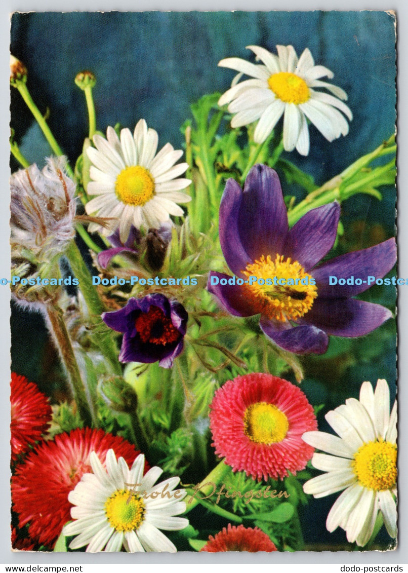 L361986 Flowers PM Herten 1970