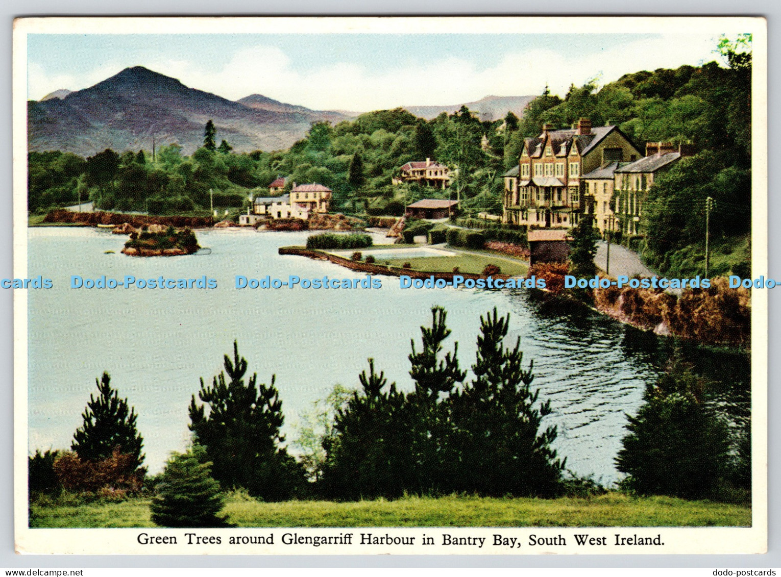 L374822 South West Ireland Green Trees around Glengarriff Harbour in Bantry Bay