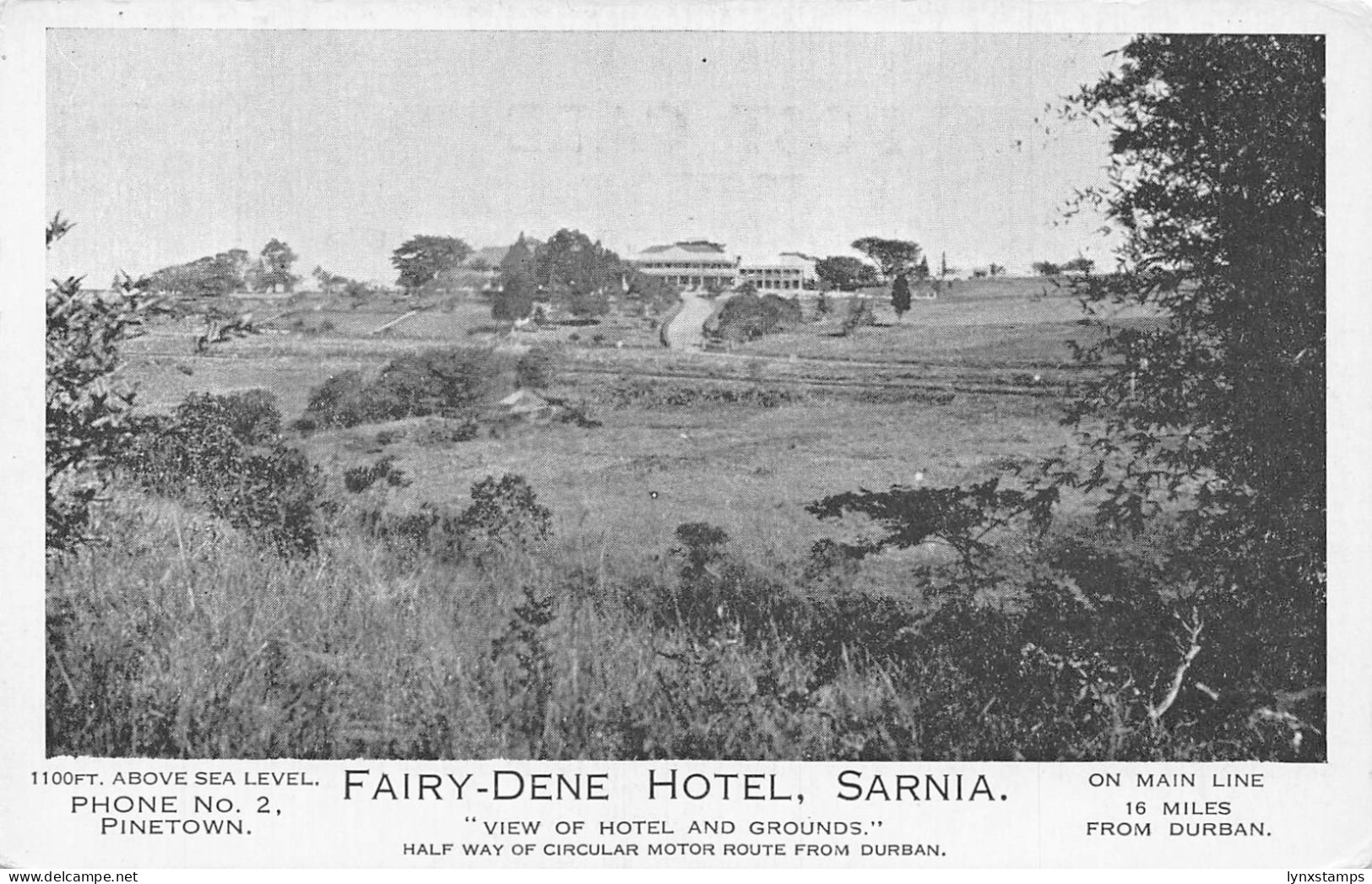 L542 South Africa Fairy-Dene Hotel Sarnia vintage postcard