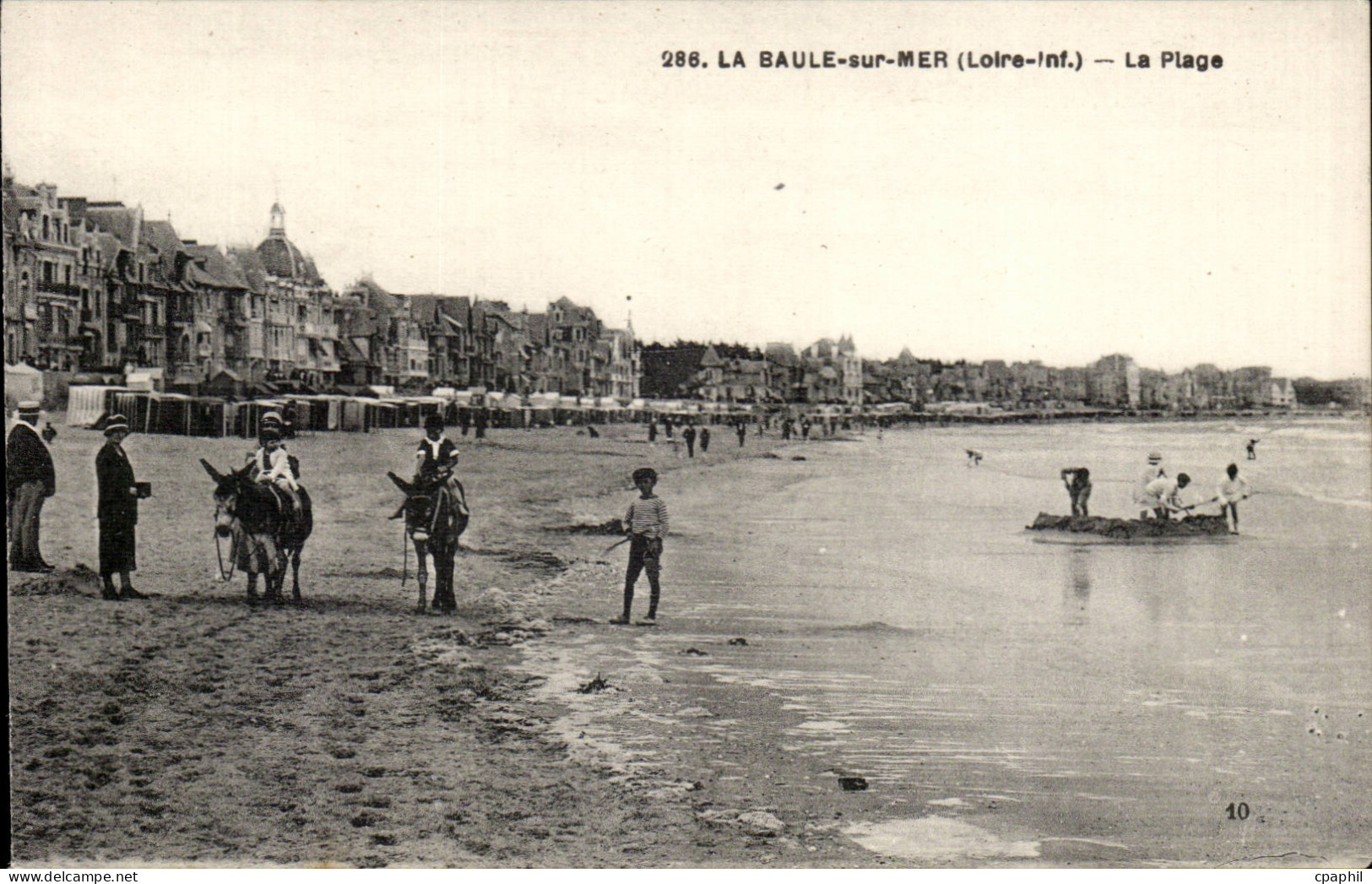 La Baule sur Mer CPA La plage (ane donkey)