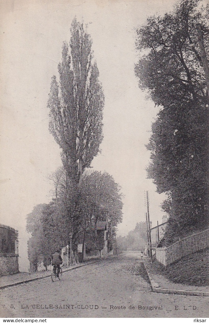 LA CELLE SAINT CLOUD(ARBRE)
