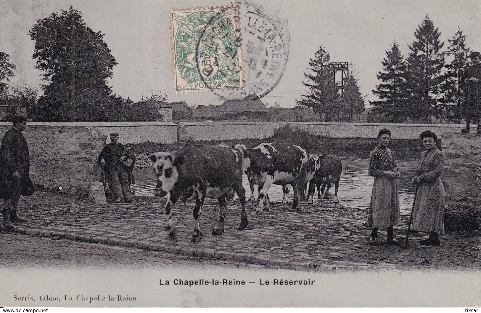 LA CHAPELLE LA REINE(ABREUVOIR) VACHE