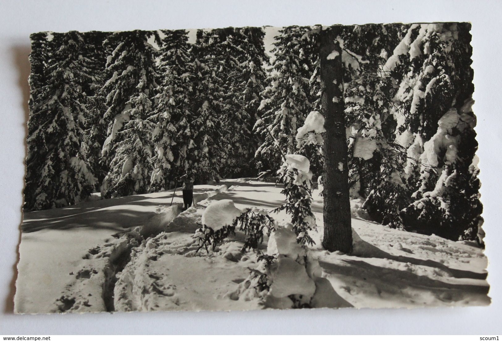 la franche comté pitoresque - la piste enneigée